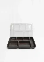 Disposable food Container with Compartments