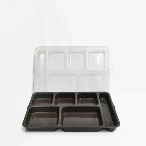 Disposable food Container with Compartments
