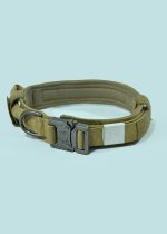 Pets Neck Belt Adjustable Nylon Dog Collar for Training Outdoor Walking Dark Green