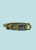 Pets Neck Belt Adjustable Nylon Dog Collar for Training Outdoor Walking Dark Green - Image 2
