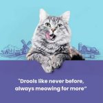 Catfest Pillows Shrimp Creamy Filling,Cat Treats Combo - Image 3