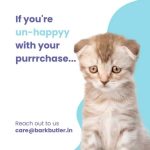 Catfest Pillows Shrimp Creamy Filling,Cat Treats Combo - Image 6