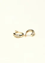 Oval Hoop Earrings