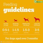 Pedigree Tasty Jerky Dog Treat, Chicken Flavour ( 70g ) - Image 3