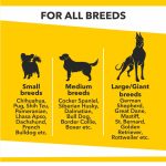 Baked Delights Real Chicken Baked Cookies , Round shaped Dog Treat  (800 g) - Image 4