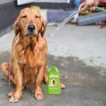 Beeps Puppy Shampoo - Image 7