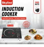 Skyline Vtl 3030 Infrared Induction Cooker - Image 2
