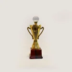 Crystal Crown Achievement Trophy, Size 10.5 inch Height
