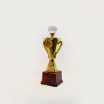 Crystal Crown Achievement Trophy, Size 10.5 inch Height - Image 2