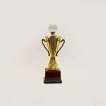 Crystal Crown Achievement Trophy, Size 10.5 inch Height - Image 3