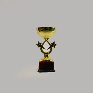 Sigaram 8 Inch Trophy for Party Celebrations, Ceremony, Appreciation Gift, Sport, Academy, Awards for Teachers and Students