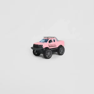 Mini Die-Cast Toy Trucks (Pink)