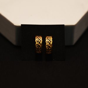 Golden Whisper Hoops Earring