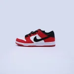 Nike SB Dunk Low Pro